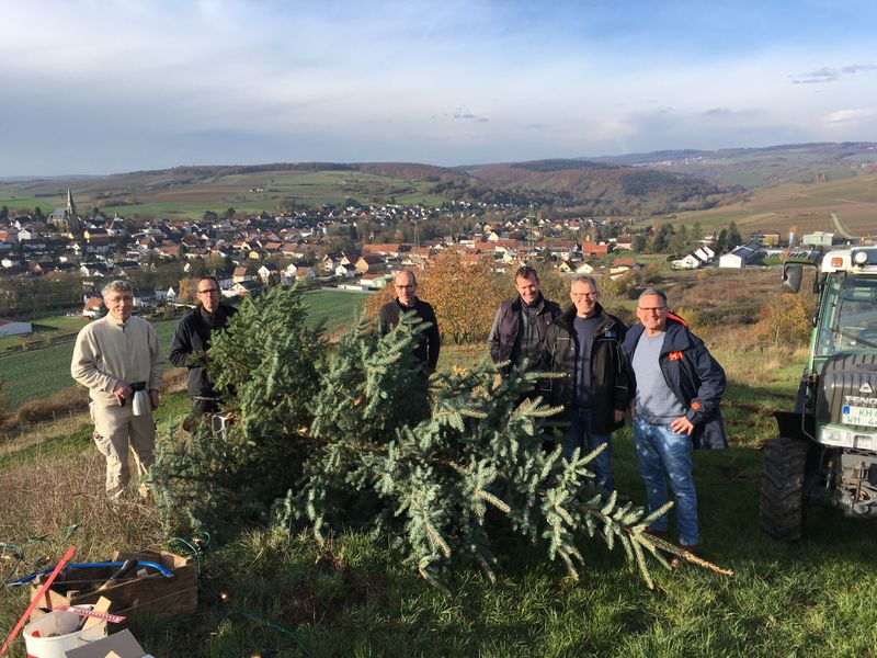 Ortsverschönerung